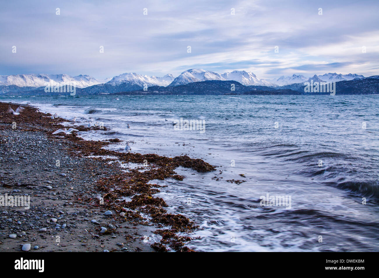Un freddo Alaskan spiaggia con montagne innevate in lontananza la fine di sputare a Homer Alaska, Penisola di Kenai, STATI UNITI D'AMERICA Foto Stock