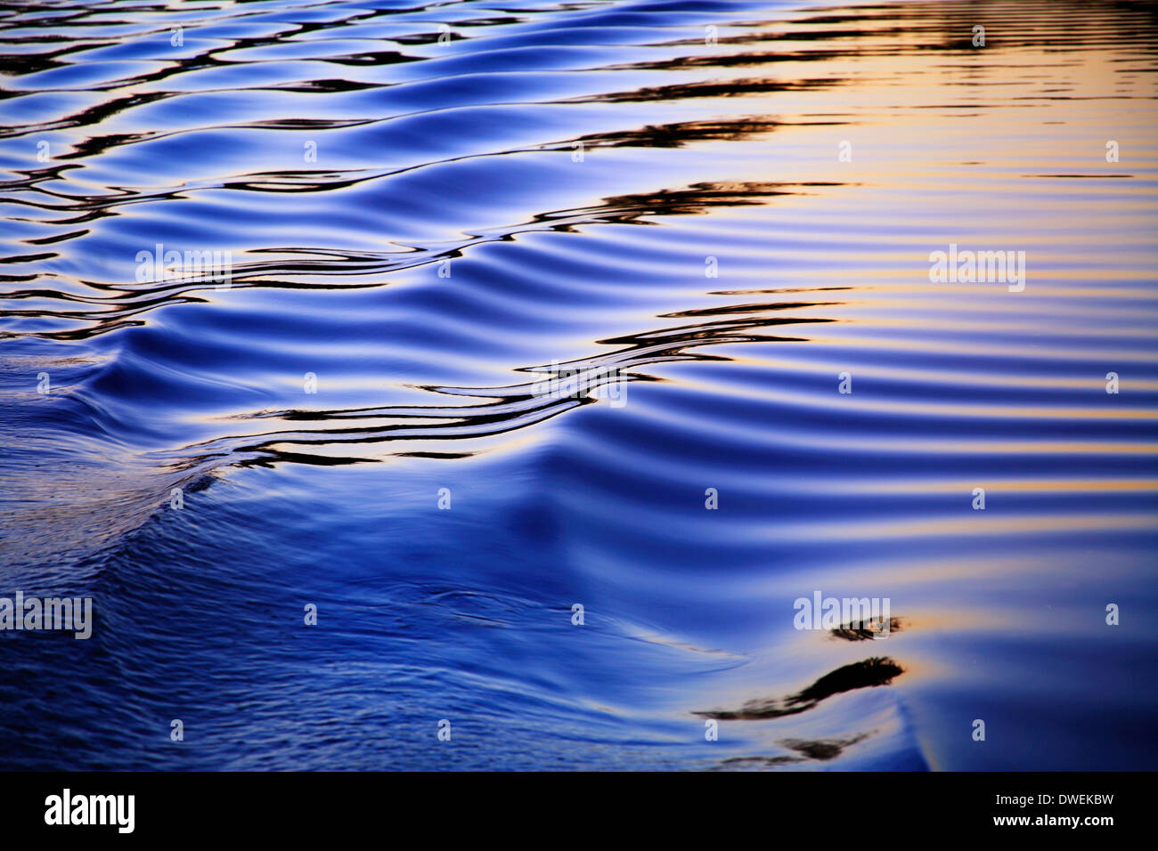 Fluttuazioni nella scia di un pontone barca al tramonto sul Lago di essenze dure, parte di Huron River catena di laghi, Michigan, Stati Uniti d'America Foto Stock