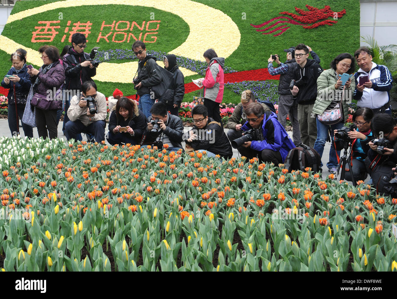Hong Kong, Cina. 7 Mar 2014. La gente a prendere le foto di fiori al 2014 Hong Kong Flower Show in Victoria Park di Hong Kong, Cina del sud, Marzo 7, 2014. Il flower show si svolgerà dal 7 Marzo al 16, che presenta oltre 350.000 fiori. © Wong Pun Keung/Xinhua/Alamy Live News Foto Stock