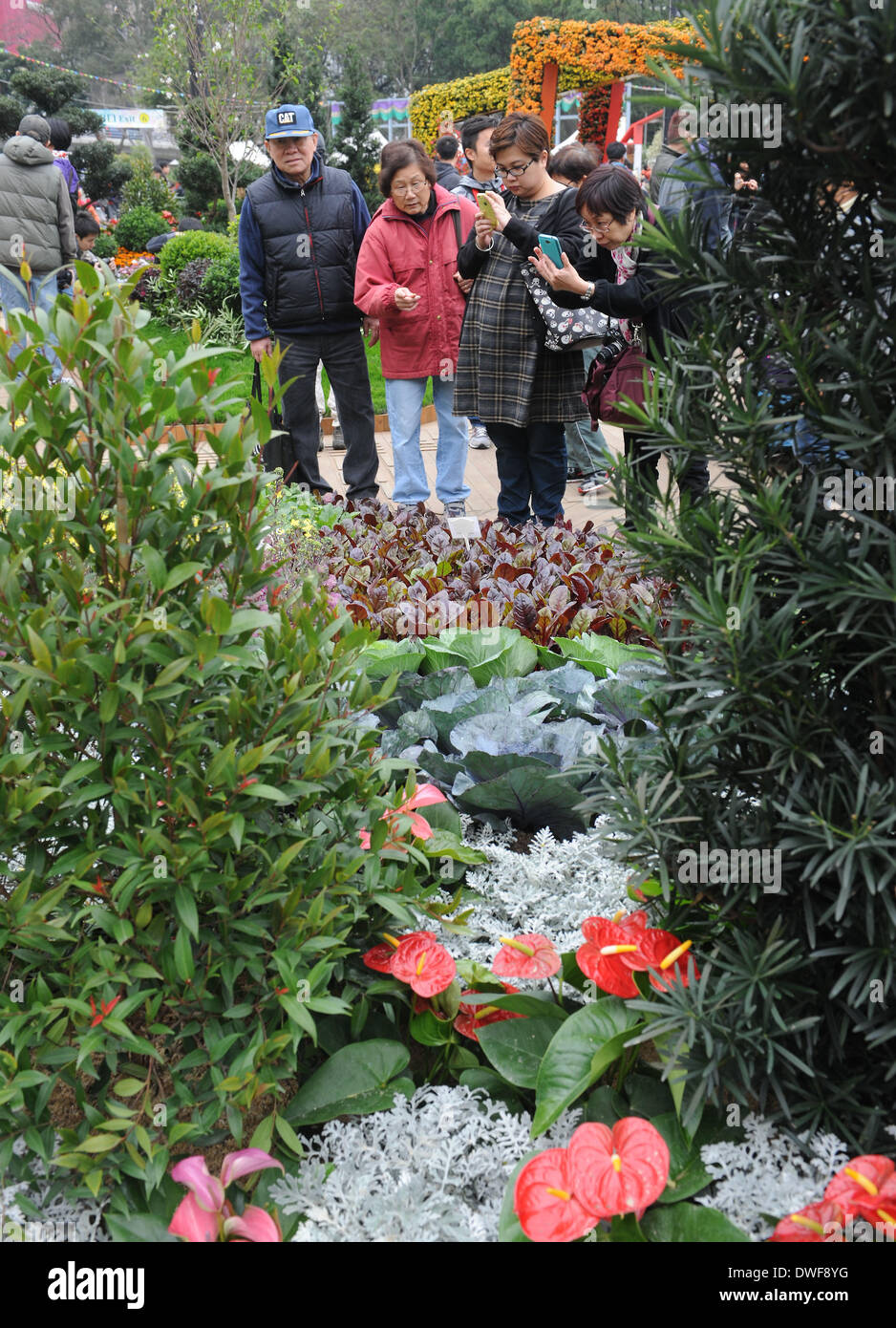 Hong Kong, Cina. 7 Mar 2014. La gente a prendere le foto delle piante al 2014 Hong Kong Flower Show in Victoria Park di Hong Kong, Cina del sud, Marzo 7, 2014. Il flower show si svolgerà dal 7 Marzo al 16, che presenta oltre 350.000 fiori. © Wong Pun Keung/Xinhua/Alamy Live News Foto Stock