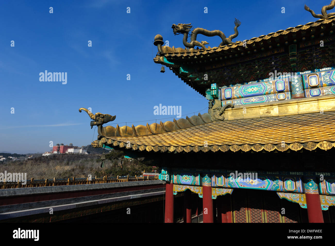 Il Xumi Fushou Tempio del tetto della Miaogao Zhuangyan hall più a sinistra il Tempio Putuozongcheng. Nella provincia di Hebei, Chengde , Cina. Foto Stock