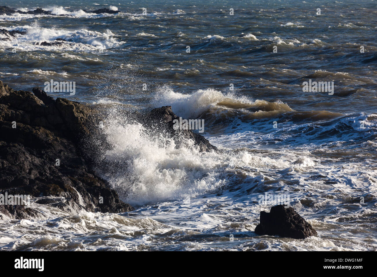 Il mare in tempesta a schiantarsi sulla costa della Scozia vicino a Montrose. N.E.Scotland Regno Unito Foto Stock