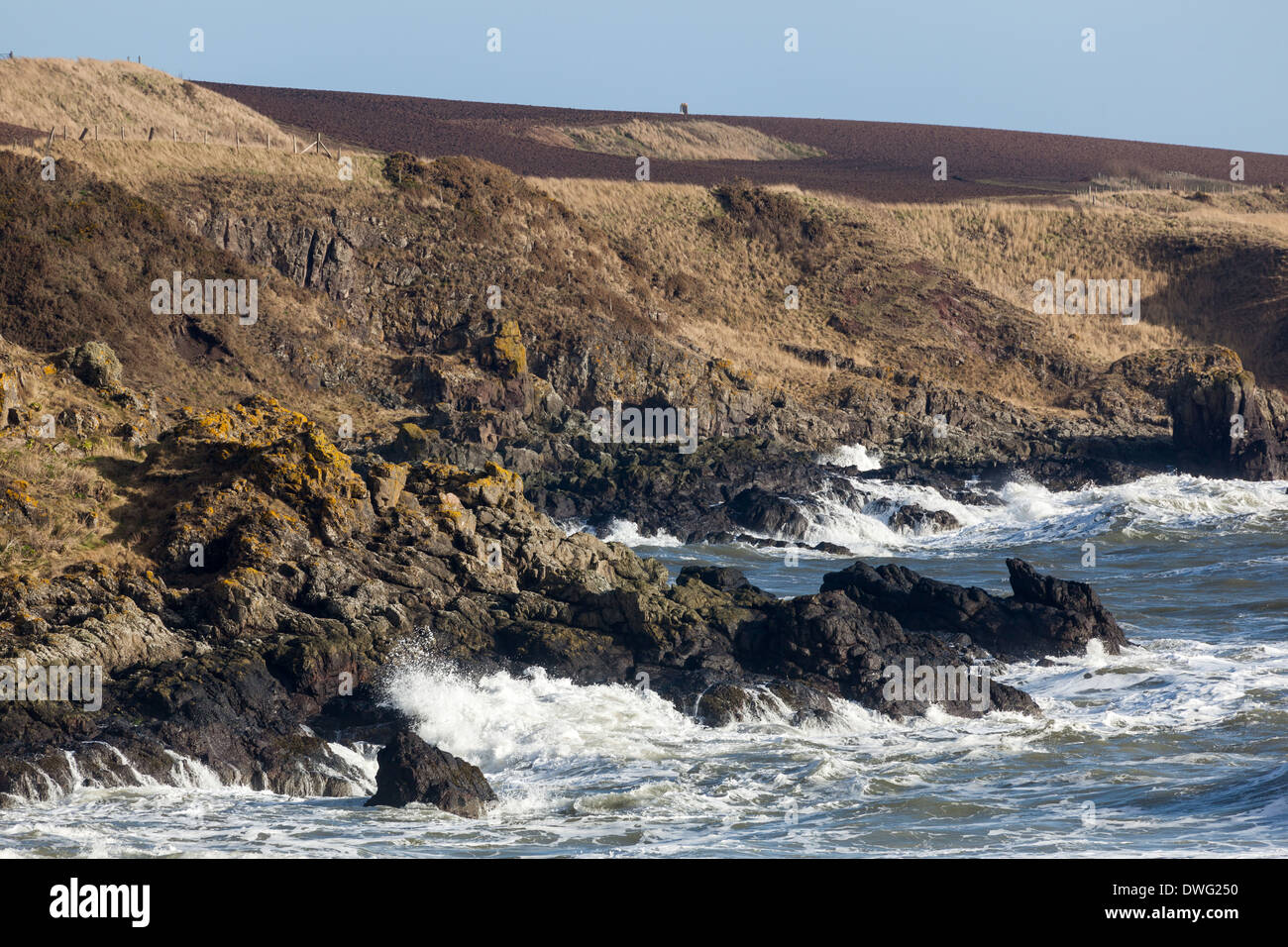 Il mare in tempesta a schiantarsi sulla costa della Scozia vicino a Montrose. N.E.Scotland Regno Unito Foto Stock