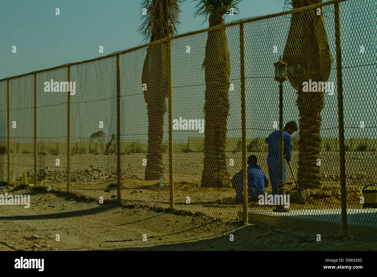 Il Qatar Doha recinzione di deserto di sabbia i giardinieri di erbe Foto Stock