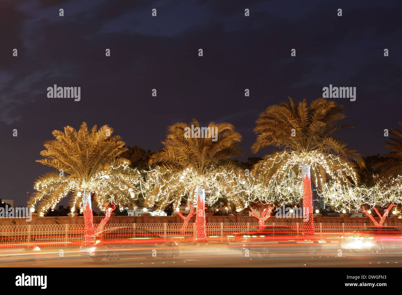 Illuminata palme nella città di Manama, Bahrein, Medio Oriente Foto Stock