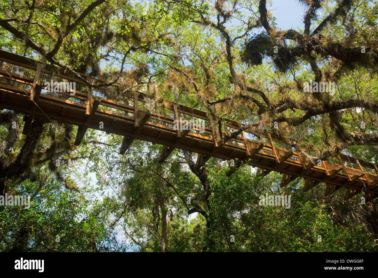 Il pontile, Myakka River State Park, Florida, Stati Uniti d'America. Maggio Foto Stock