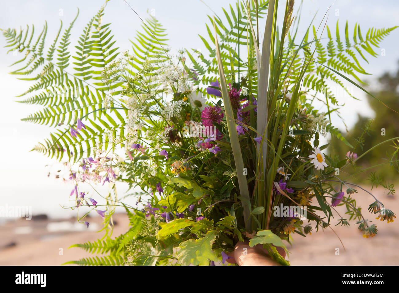 Bouquet tradizionale per celebrare il solstizio e la Festa di mezza estate.celebrazione corona*tradicional Foto Stock