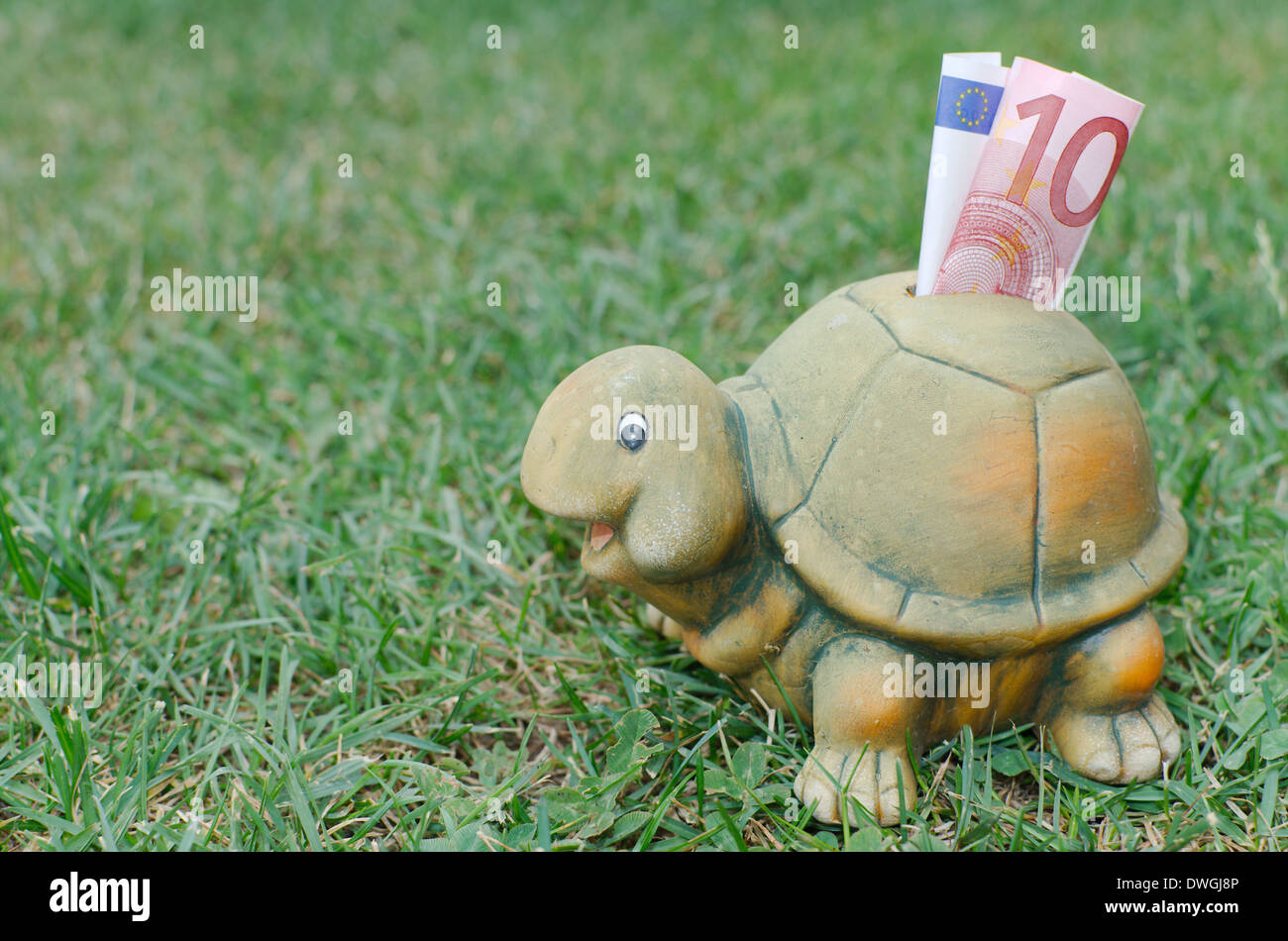 Tartaruga felice Salvadanaio con dieci di banconote in euro nell'erba verde Foto Stock