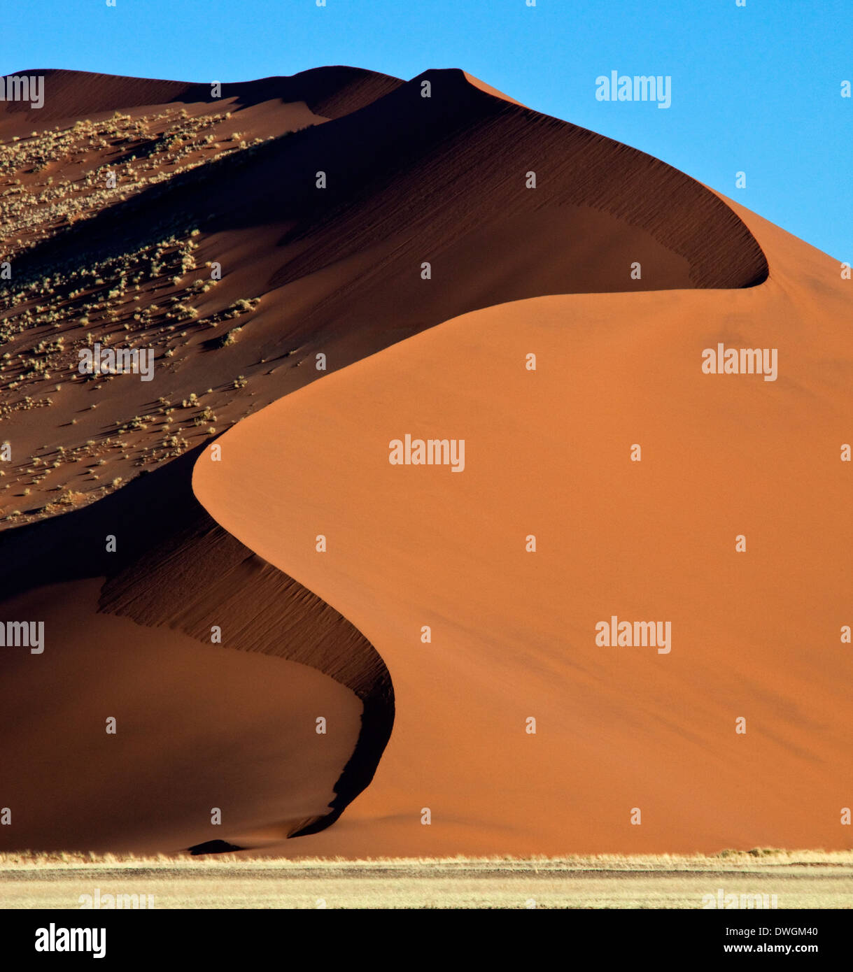 Dune di sabbia del deserto del Namib vicino al Sossusvlei in Namibia Foto Stock