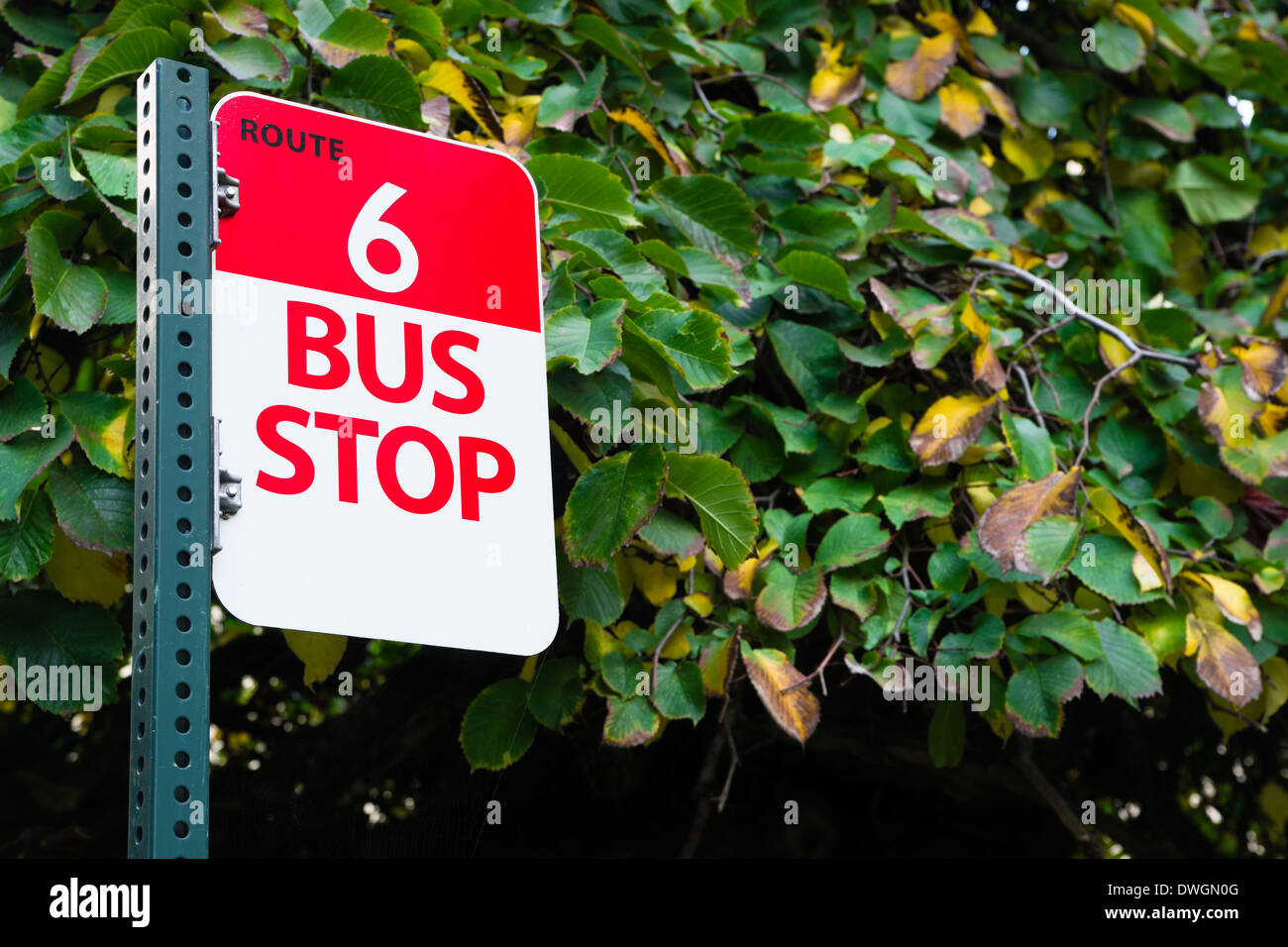 Il bianco e il rosso segno segna route 6 e la battuta di salire e scendere dagli autobus Foto Stock