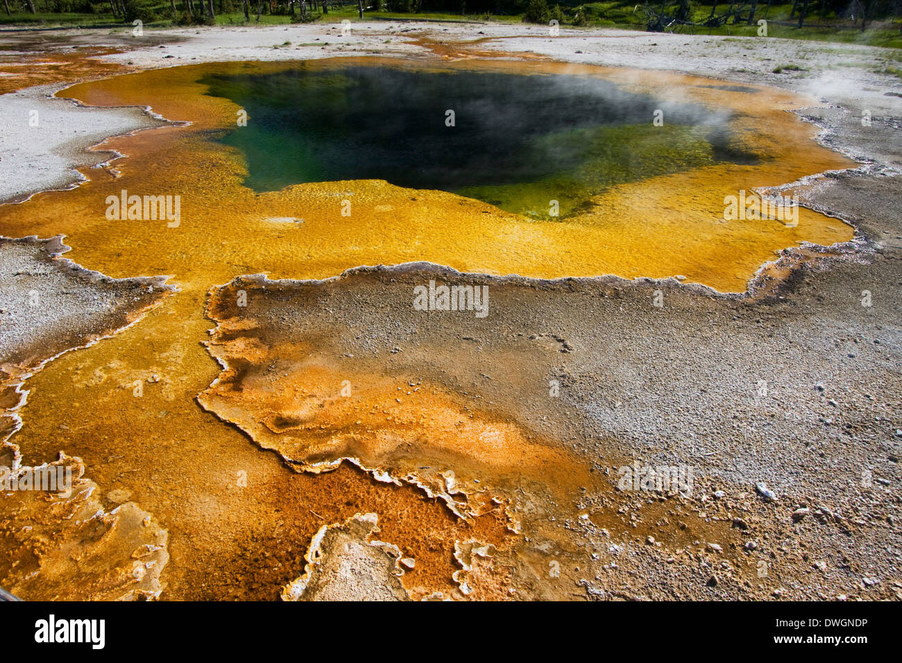 Piscina smeraldo in Upper Geyser Basin, il Parco Nazionale di Yellowstone, Wyoming. Foto Stock