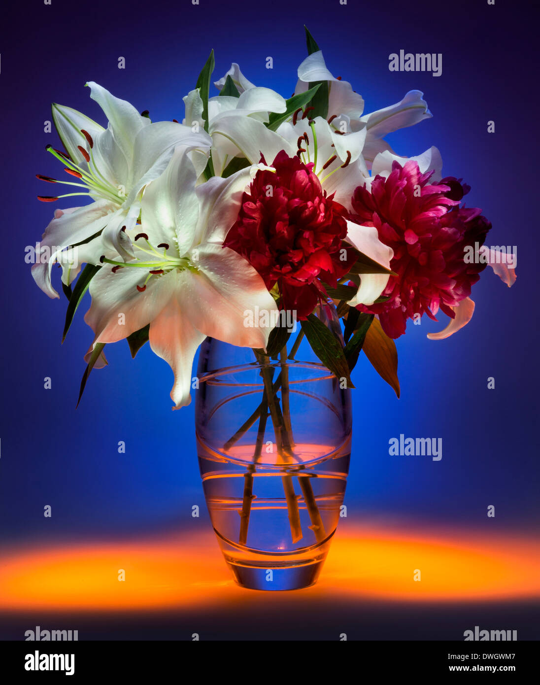 Still Life immagini di fiori prese utilizzando "dipinto con la luce' tecnica. Foto Stock