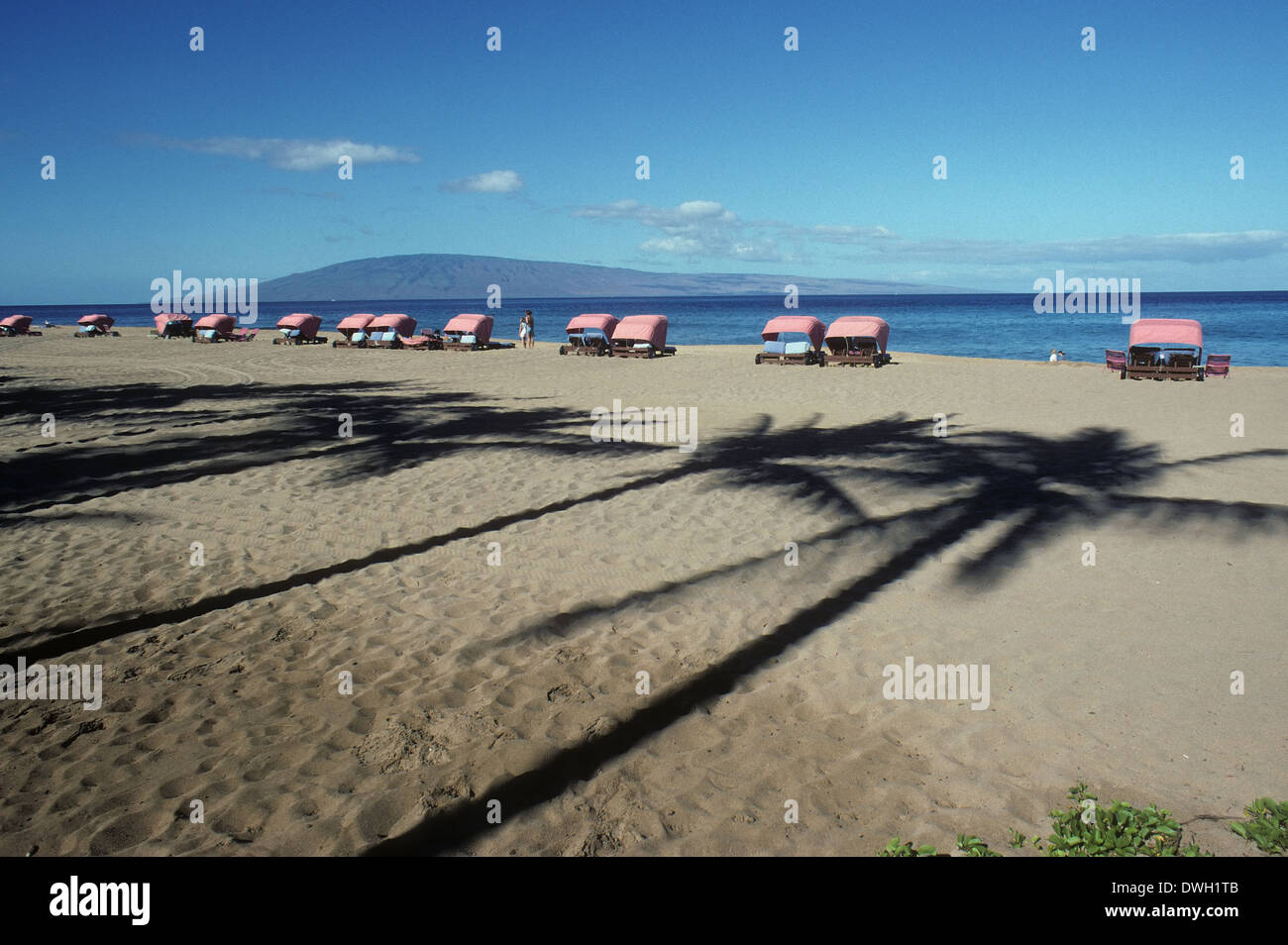 Palm tree ombre e sdraio in spiaggia, Maui, Hawaii, STATI UNITI D'AMERICA Foto Stock