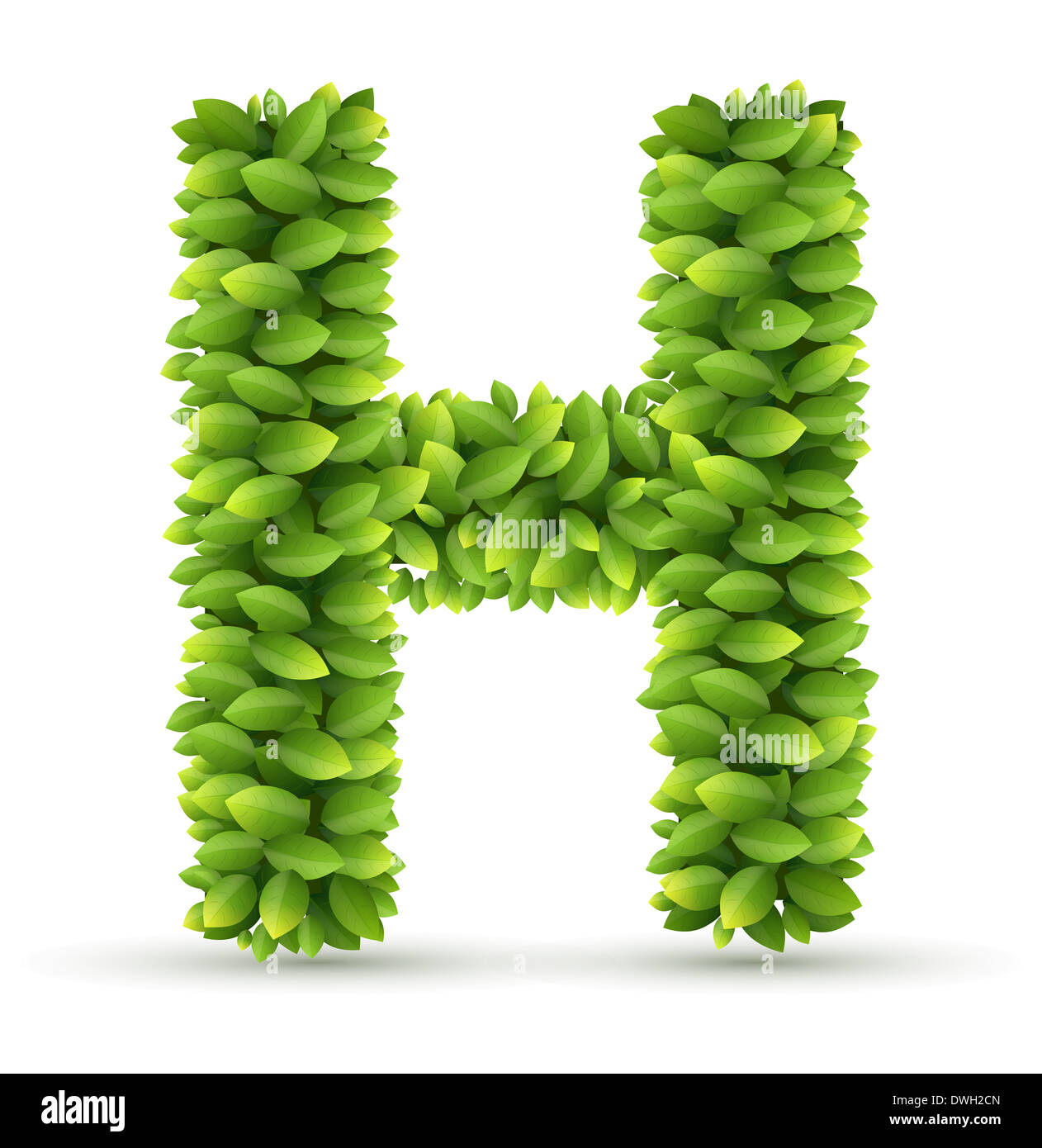 Lettera ,H vettore alfabeto di foglie verdi Foto Stock