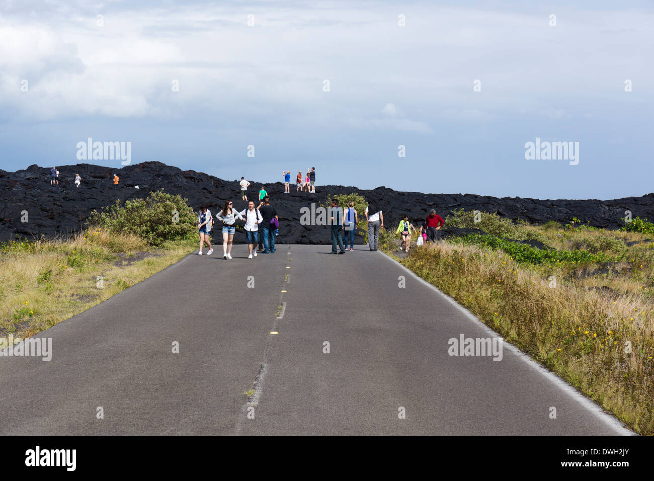 Fine della strada, Catena di crateri Road, Hawai'i vulcani del Parco Nazionale, Big Island, Hawaii, Stati Uniti d'America. Foto Stock