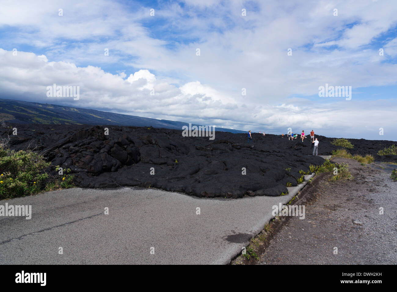 Fine della strada, Catena di crateri Road, Hawai'i vulcani del Parco Nazionale, Big Island, Hawaii, Stati Uniti d'America. Foto Stock