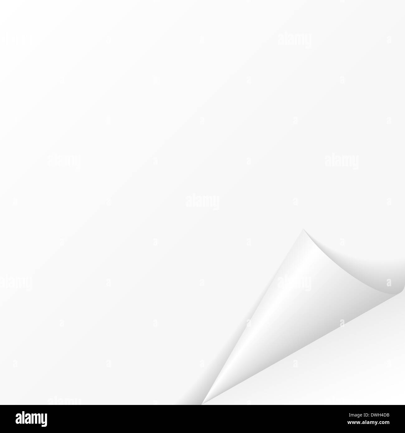 Avvolto un foglio di carta. Illustrazione per la progettazione su sfondo bianco Foto Stock