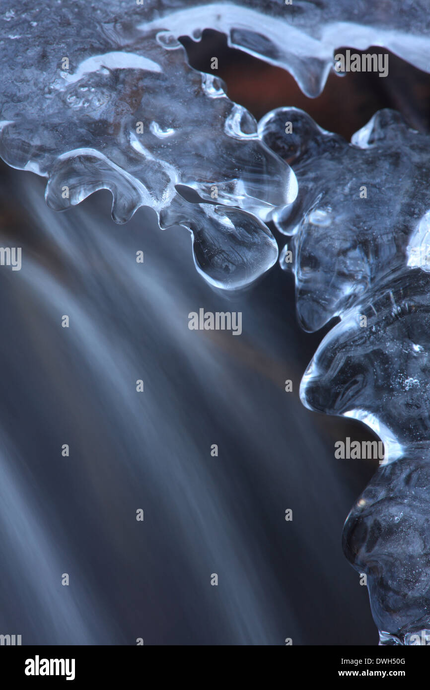 Fragili formazioni di ghiaccio sono in crescita presso le rive di un ruscello di montagna. Foto Stock
