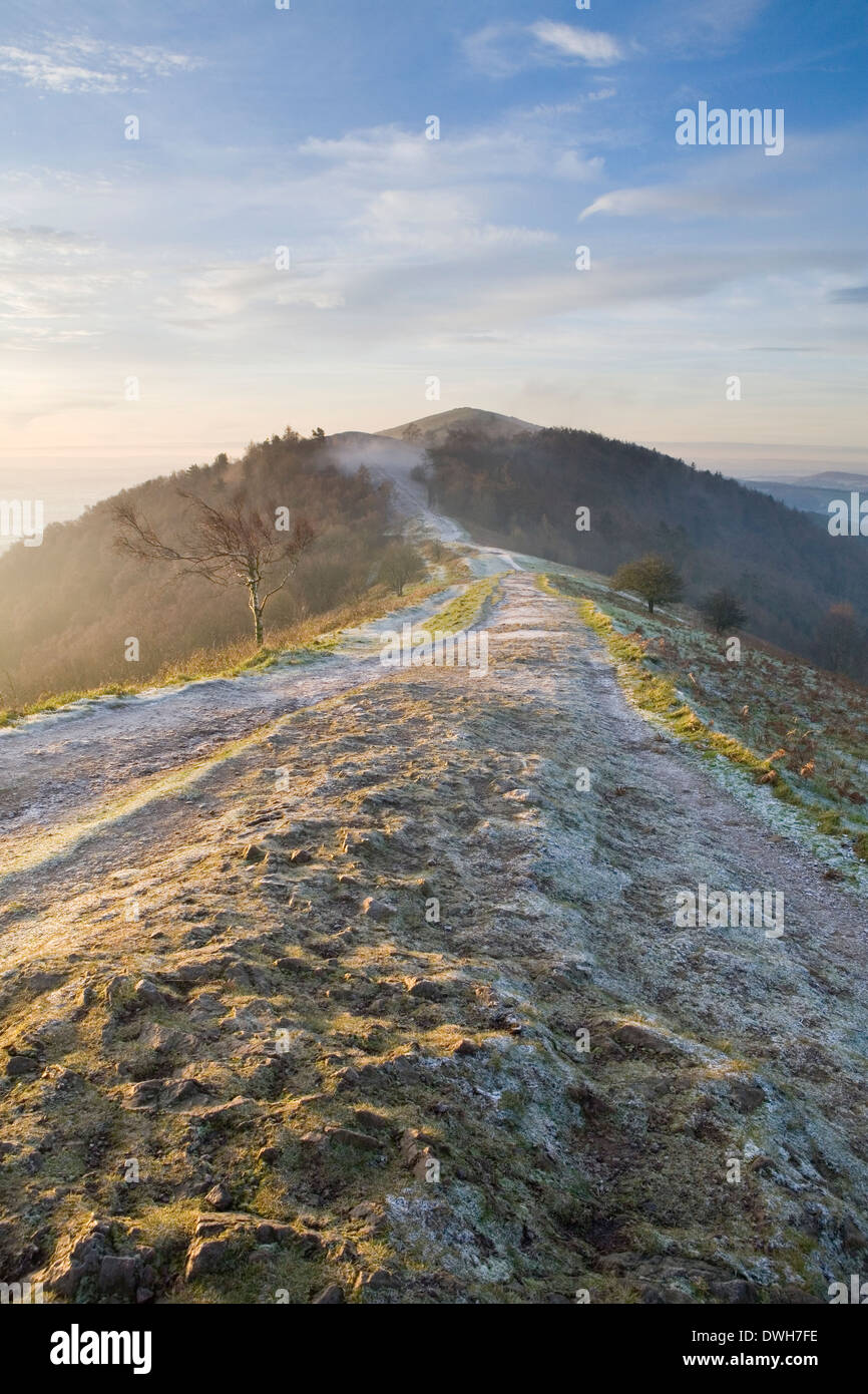Il percorso roccioso tra la perseveranza Hill e il giubileo colle sulle colline di Malvern, Worcestershire preleva la forte luce gialla Foto Stock