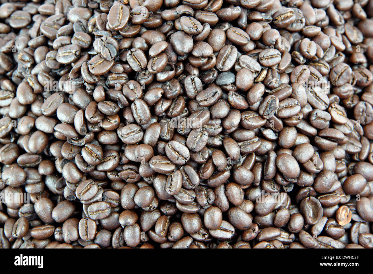 Primo piano il caffè torrefatto in grani di sfondo. Foto Stock