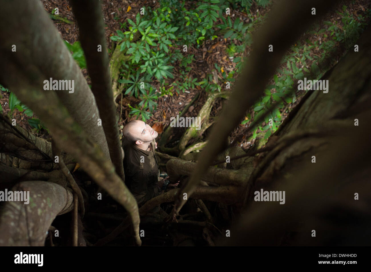 Tangkoko foresta, Nord Sulawesi, Indonesia. 9 Marzo, 2014. Tangkoko è una delle ultime roccaforti della specie gravemente minacciate di Sulawesi crested black macachi (Macaca nigra). Wildlife Photographer Andrew Walmsley è nel campo per documentare il lavoro di Selamatkan Yaki, una organizzazione non governativa che lavora per proteggere le scimmie che sono minacciate dalla perdita di habitat e il traffico illegale di carne di animali selvatici del commercio. Harry Hilser, program manager per Selamatkan Yaki, nella foresta. Credito: Andrew Walmsley/Alamy Live News Foto Stock