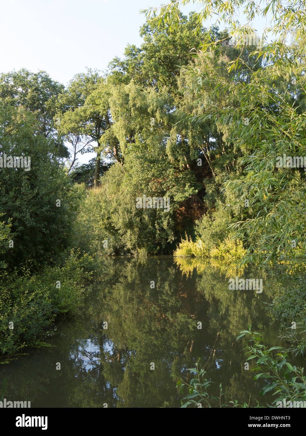 Il Fiume Mole tra Cobham e Esher, Surrey Foto Stock