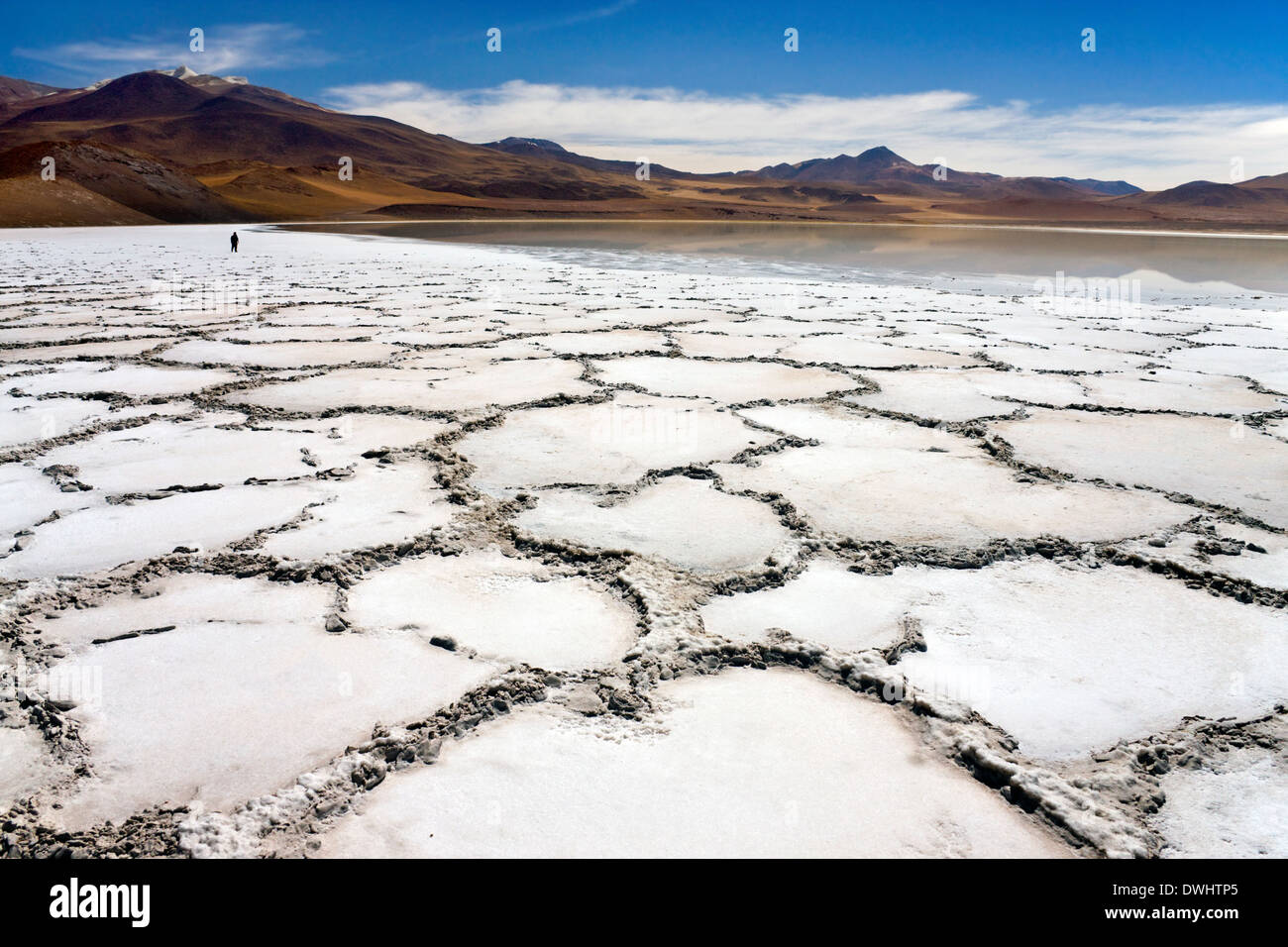 Remote Laguna Tuyajto & sale appartamenti (circa 3800m) nel deserto di Atacama nel nord del Cile in Sud America Foto Stock