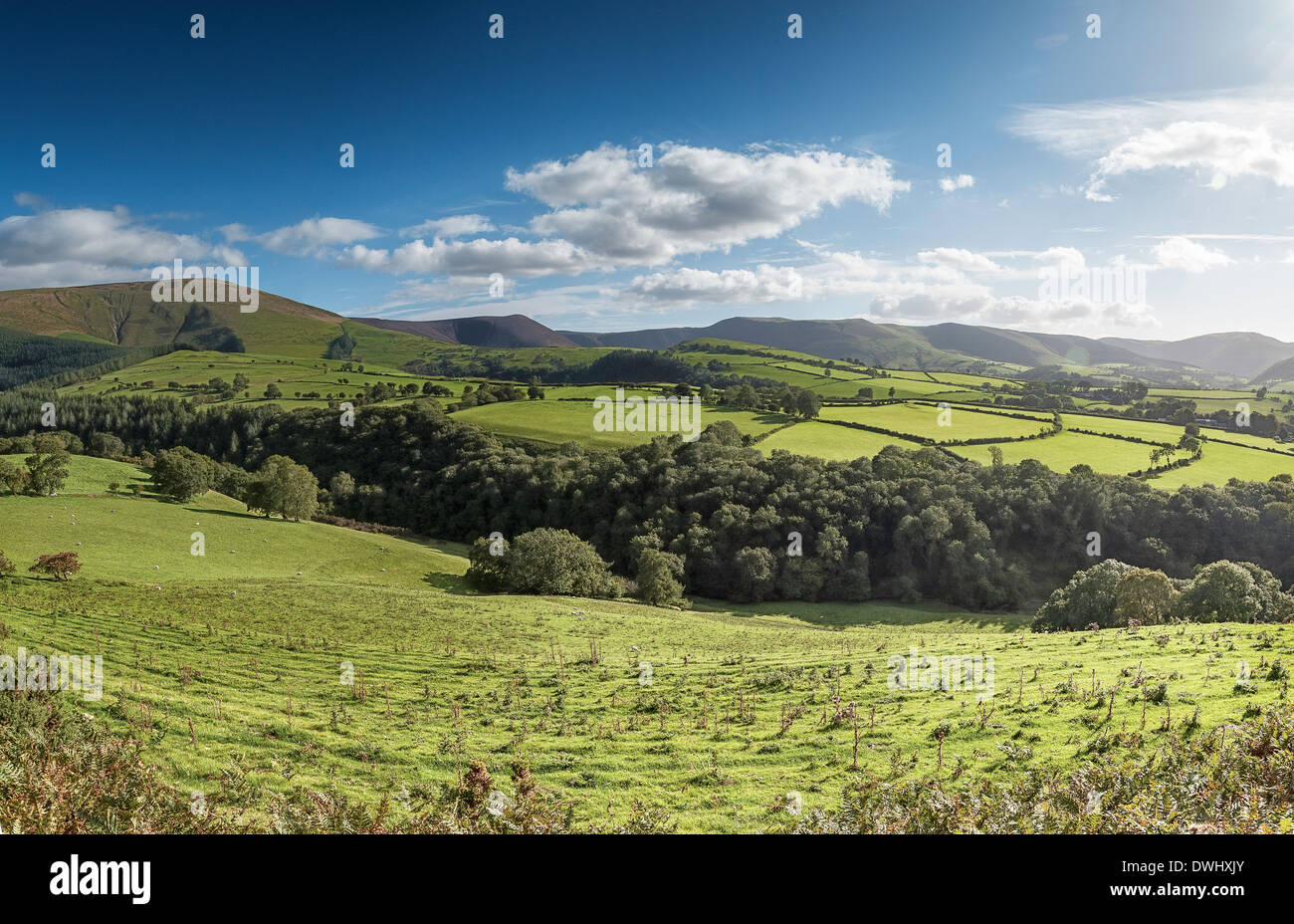 Viste sulla montagna vicino Aberhosan Powys Wales UK Foto Stock
