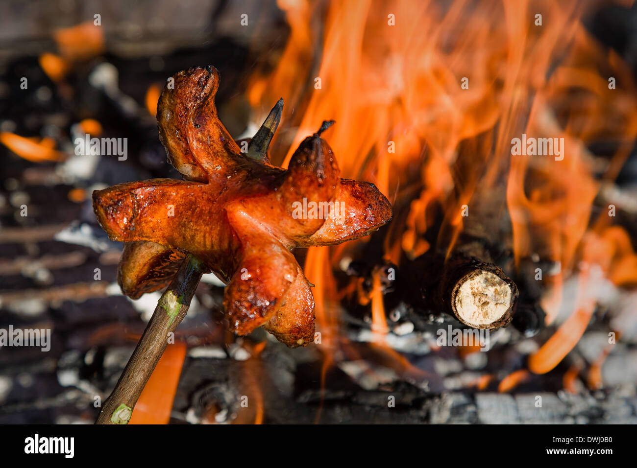 Odore di salsiccia tostatura su un fuoco aperto Foto Stock