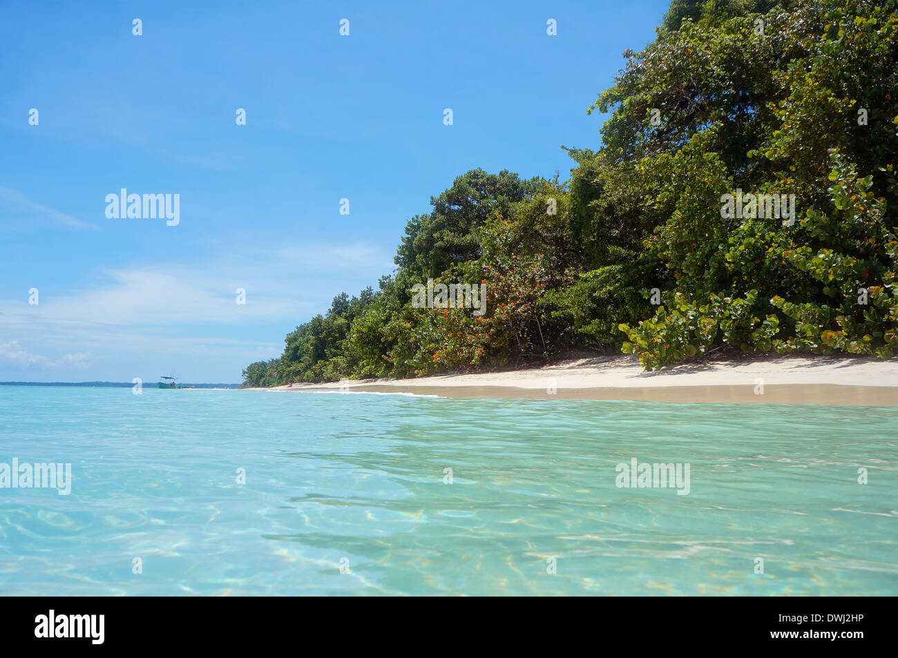 Spiaggia tropicale con vegetazione lussureggiante, preso dalla superficie di acqua, Bocas del Toro, Mar dei Caraibi, isole Zapatillas, Panama Foto Stock
