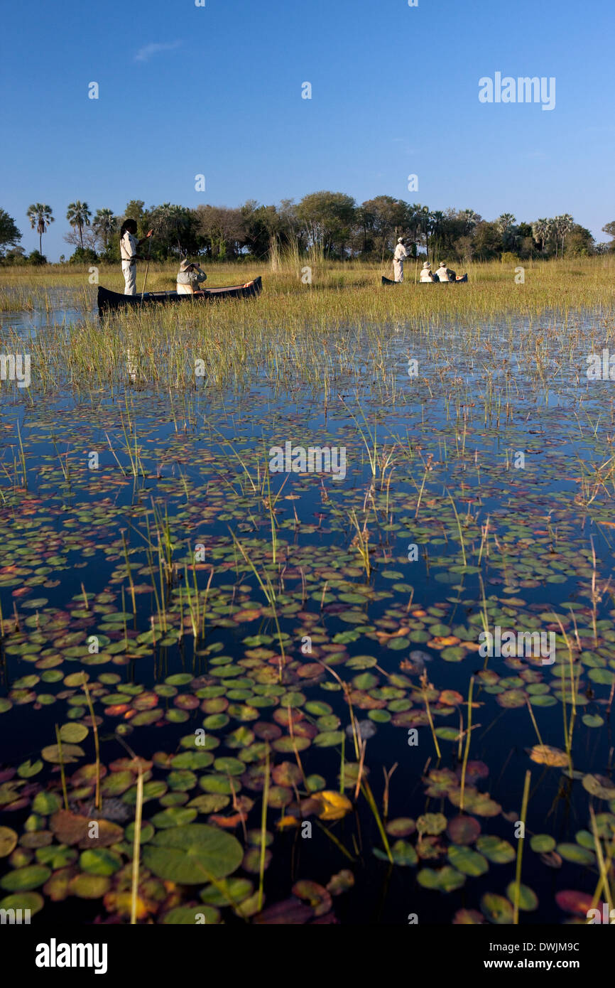 I turisti in moroko (canoe) sul Delta dell'Okavango in Botswana Foto Stock