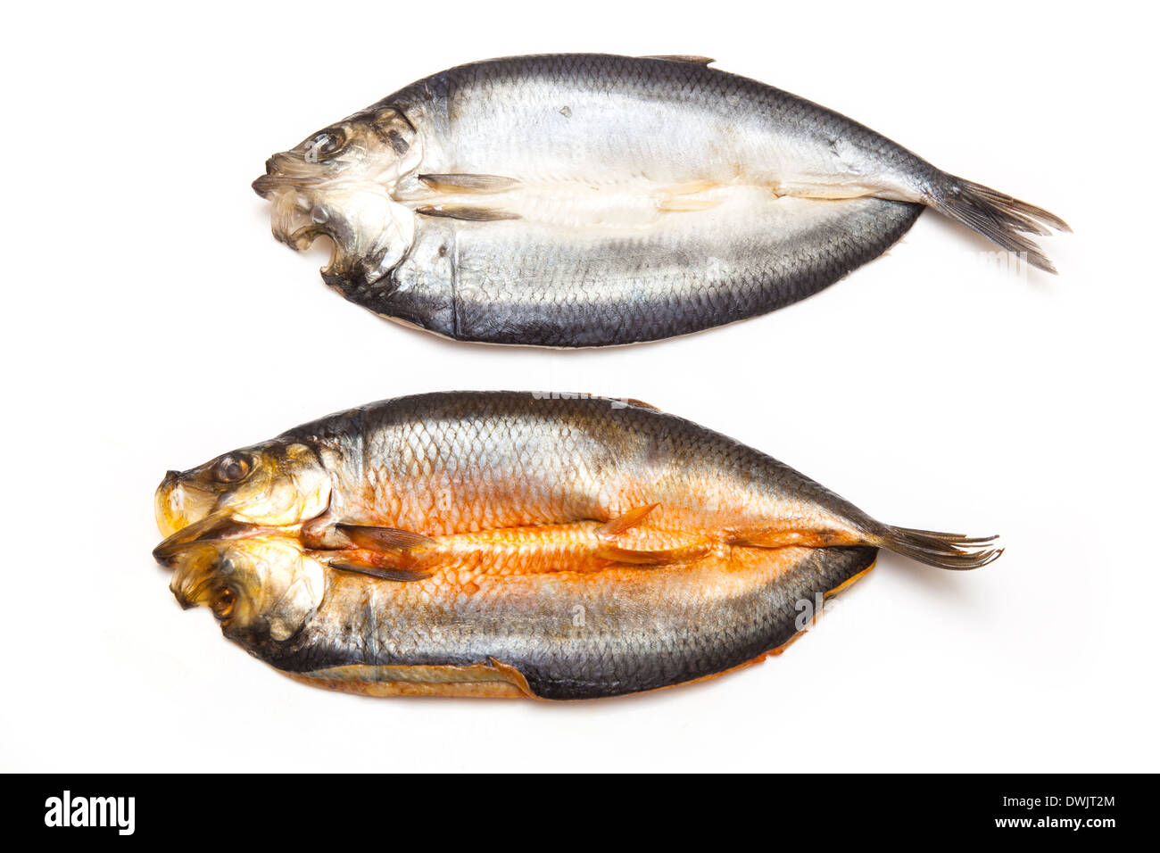 Tinti e non-tinto scozzese con salmone affumicato isolato su un bianco di sfondo per studio. Foto Stock