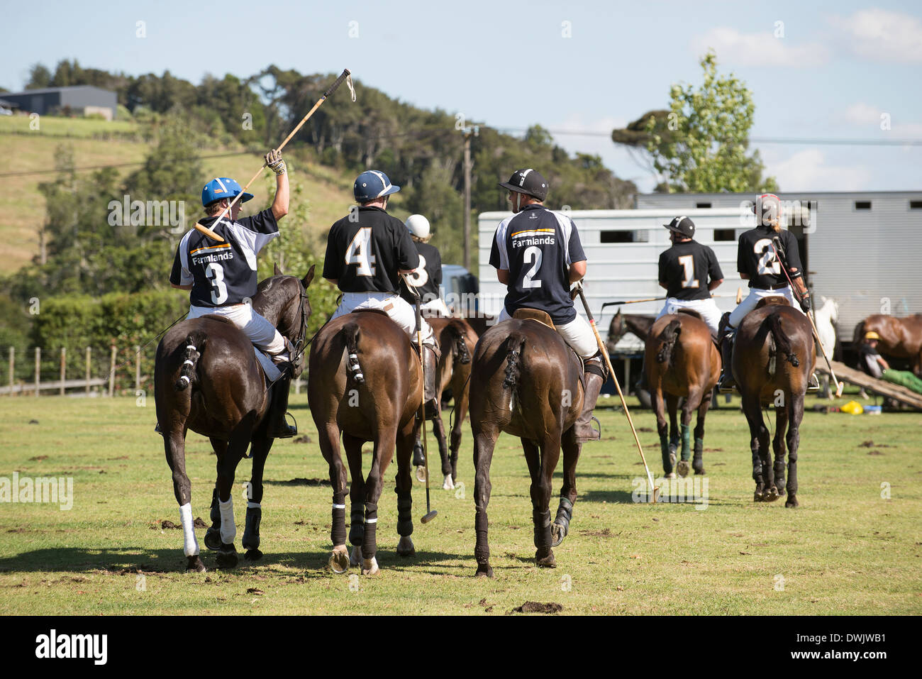 Paese giocatori di polo dopo una partita di Clevedon Isola del nord della Nuova Zelanda Foto Stock