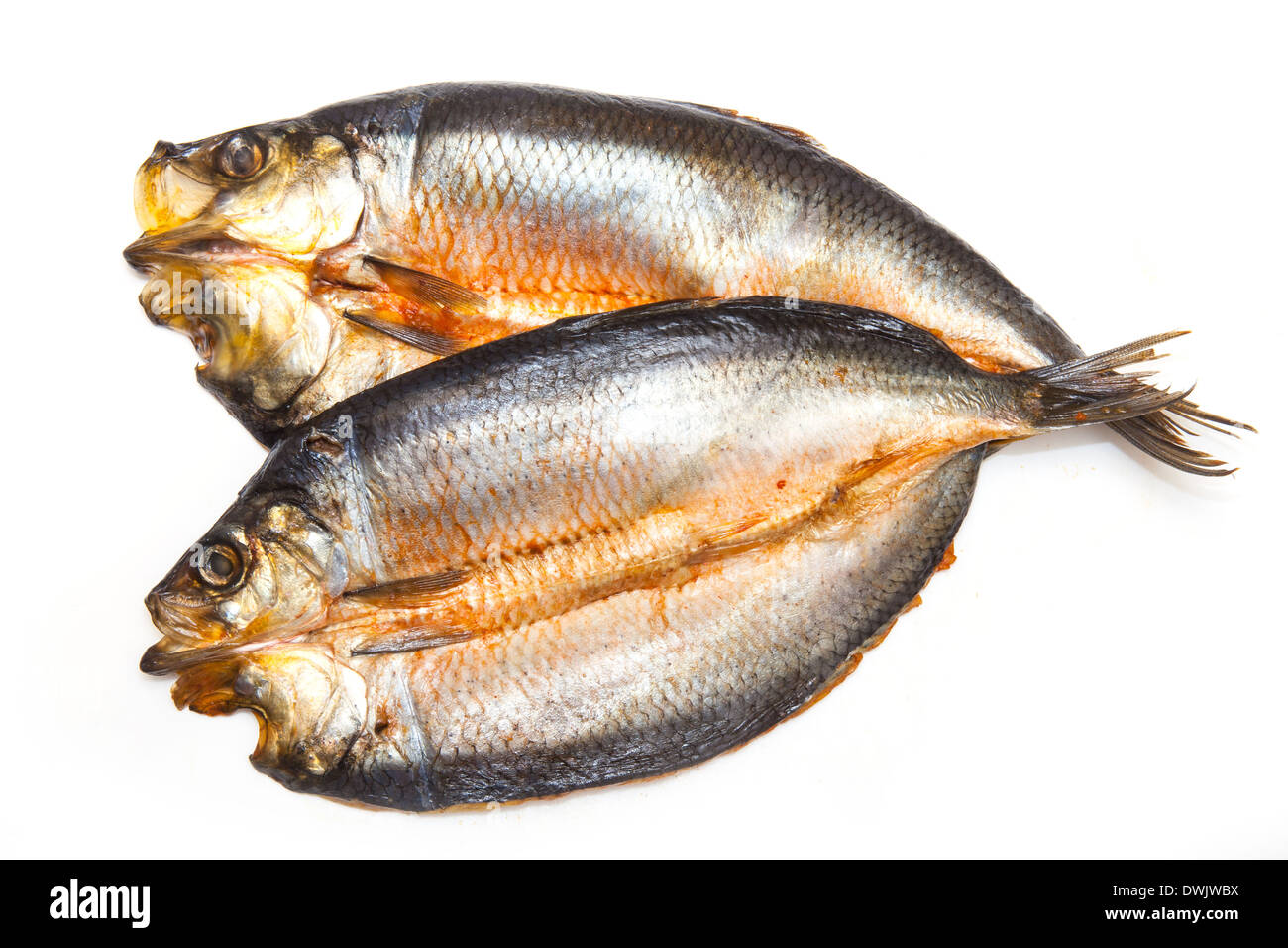 Tinti scozzese con salmone affumicato isolato su un bianco di sfondo per studio. Foto Stock