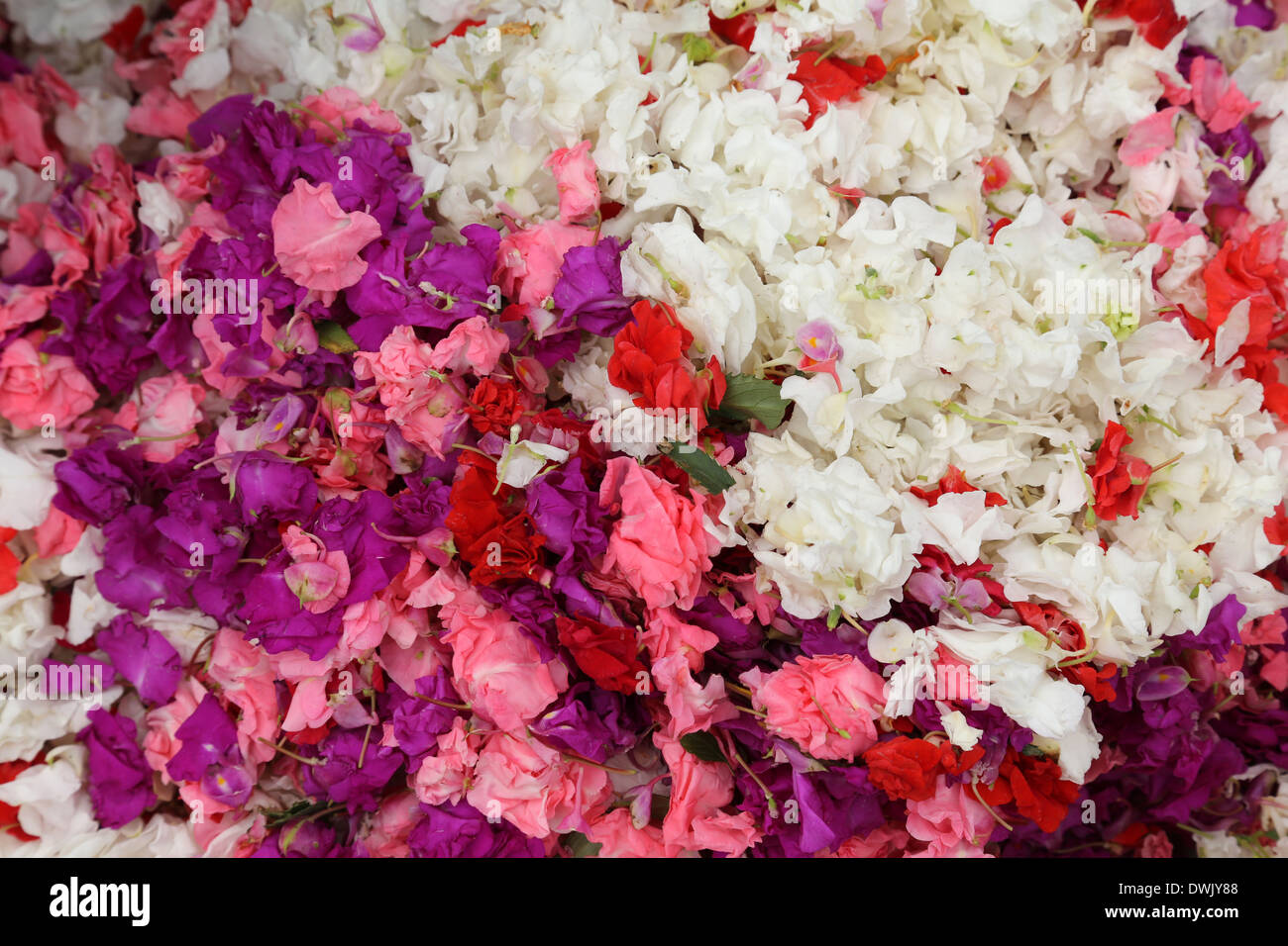 Fiori e ghirlande per la vendita sul mercato dei fiori all'ombra del ponte Haora in Kolkata, West Bengal, India Foto Stock