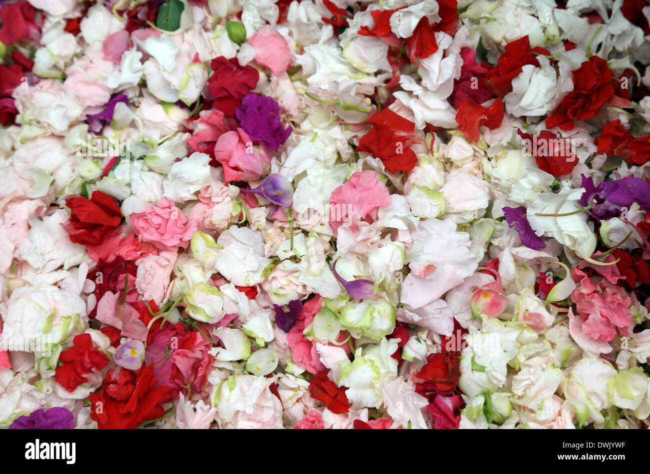 Fiori e ghirlande per la vendita sul mercato dei fiori all'ombra del ponte Haora in Kolkata, West Bengal, India Foto Stock