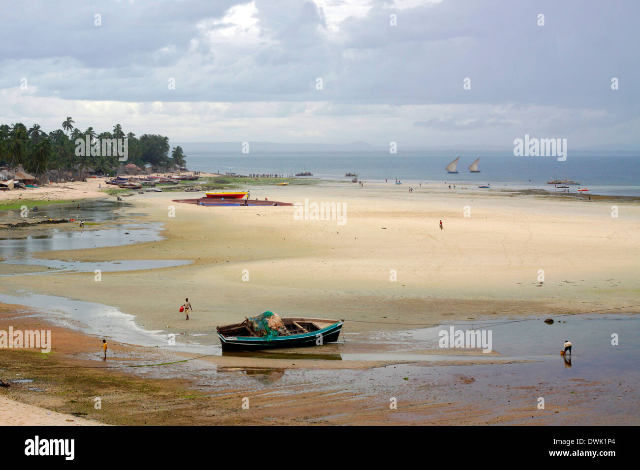 Paesaggio di una spiaggia a Pemba, Nord del Mozambico. Foto Stock