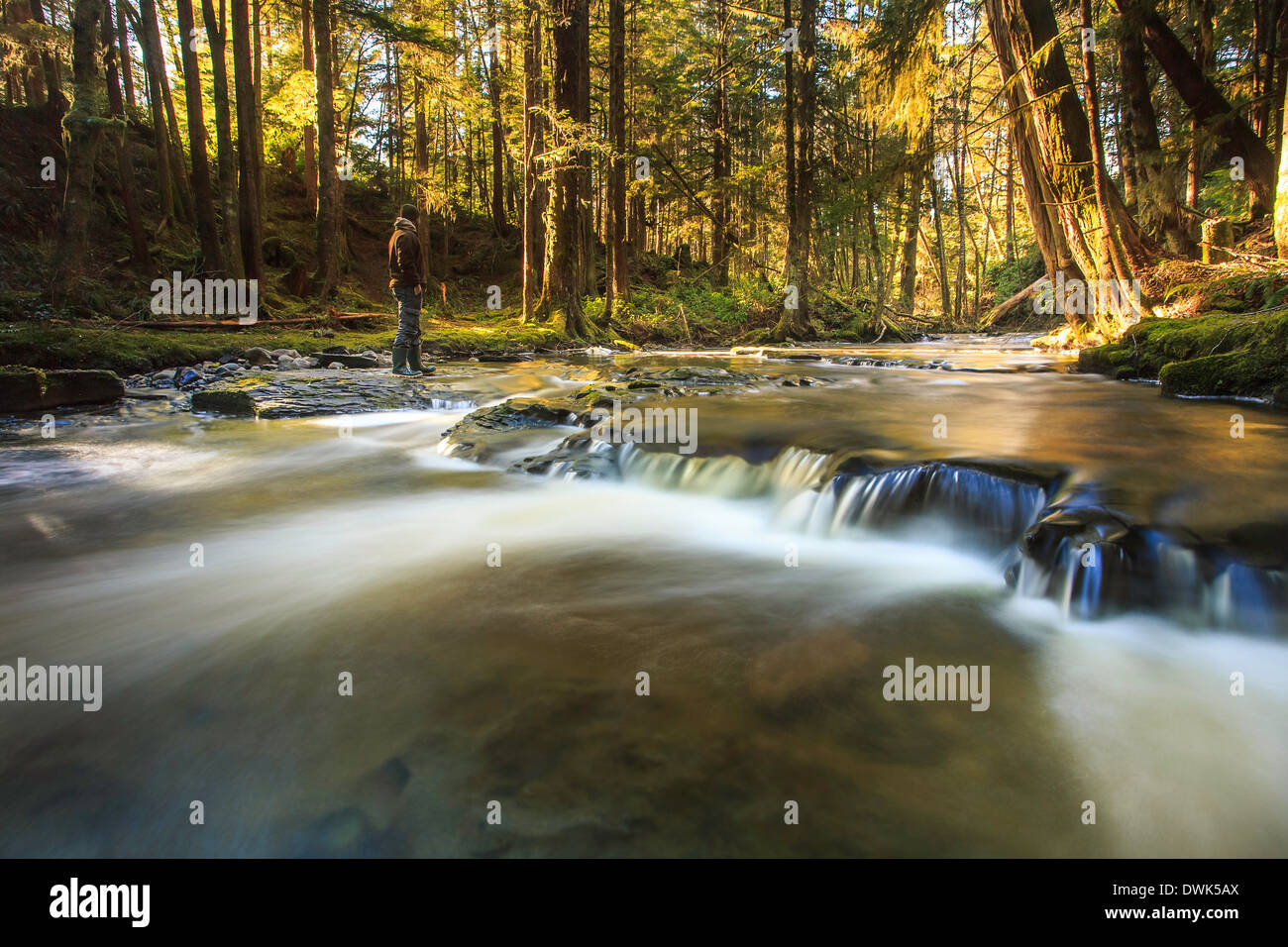 Un escursionista sorge lungo il Glen Lyon fiume godendo il sole pezzata foresta. Foto Stock