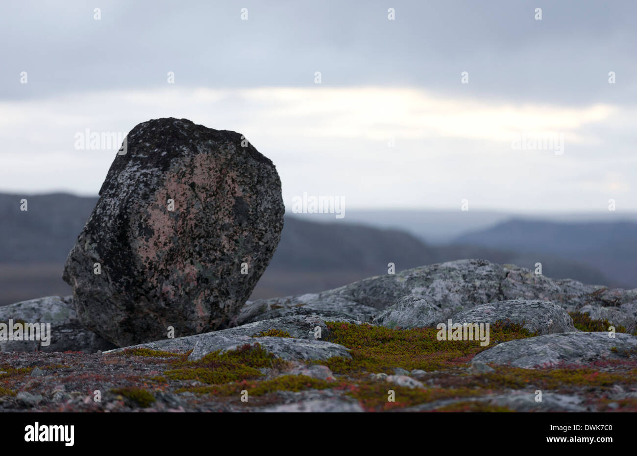 Tundra artica con un audace, Karlebotn, Norvegia Foto Stock