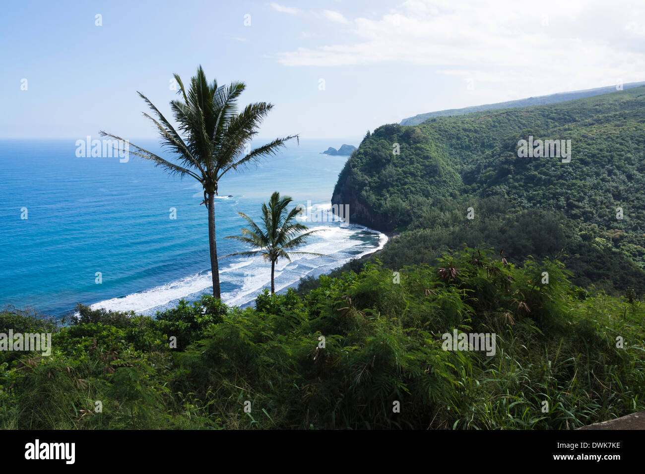 Vista dalla Valle di Pololu Lookout. La grande isola, Hawaii, Stati Uniti d'America. Foto Stock