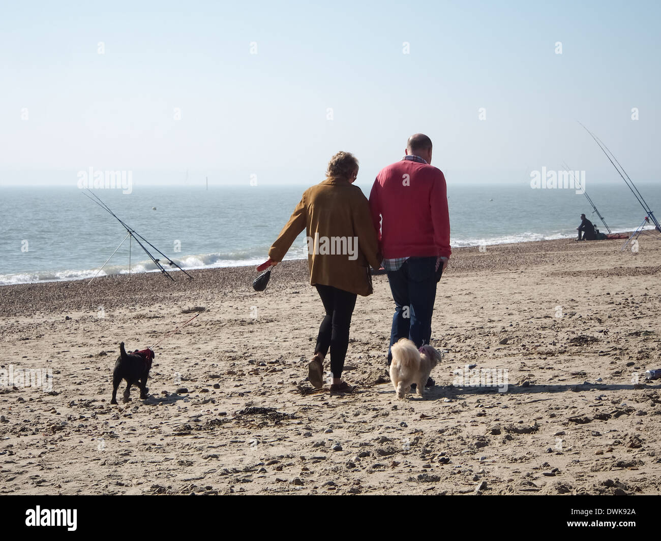 Una coppia senior camminando due cani sulla spiaggia Eastney, Portsmouth, Inghilterra Foto Stock