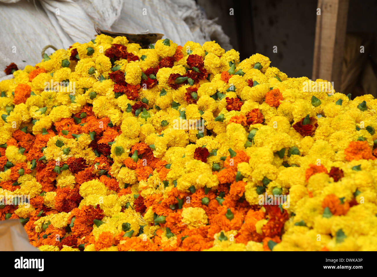 Fiori e ghirlande per la vendita sul mercato dei fiori all'ombra del ponte Haora in Kolkata, West Bengal, India Foto Stock