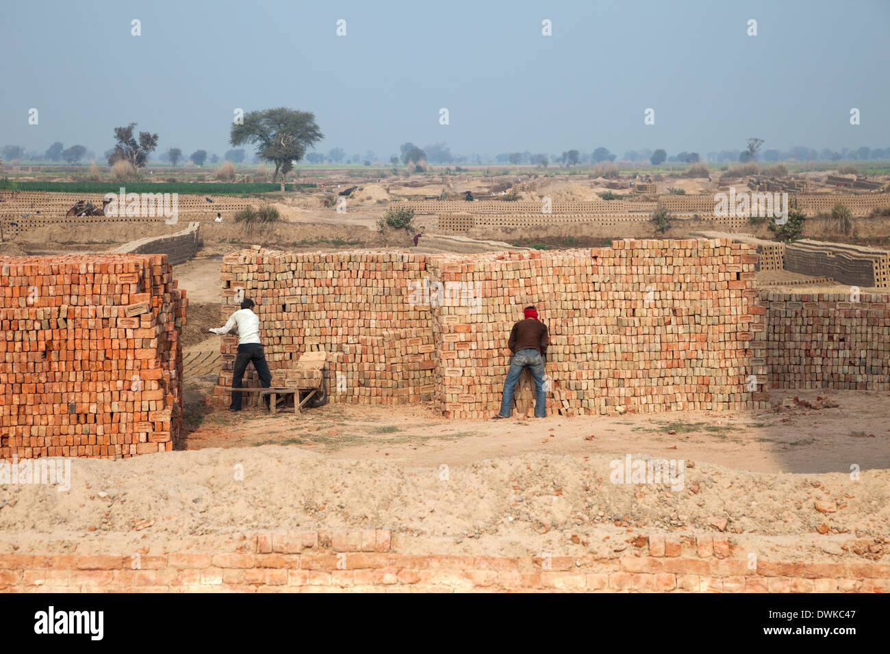 Rajasthan, India. Gli uomini di mattoni di impilamento per attendere la spedizione al mercato. Foto Stock