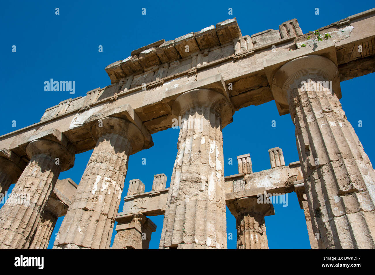 Tempio di Hera, Selinunte Foto Stock