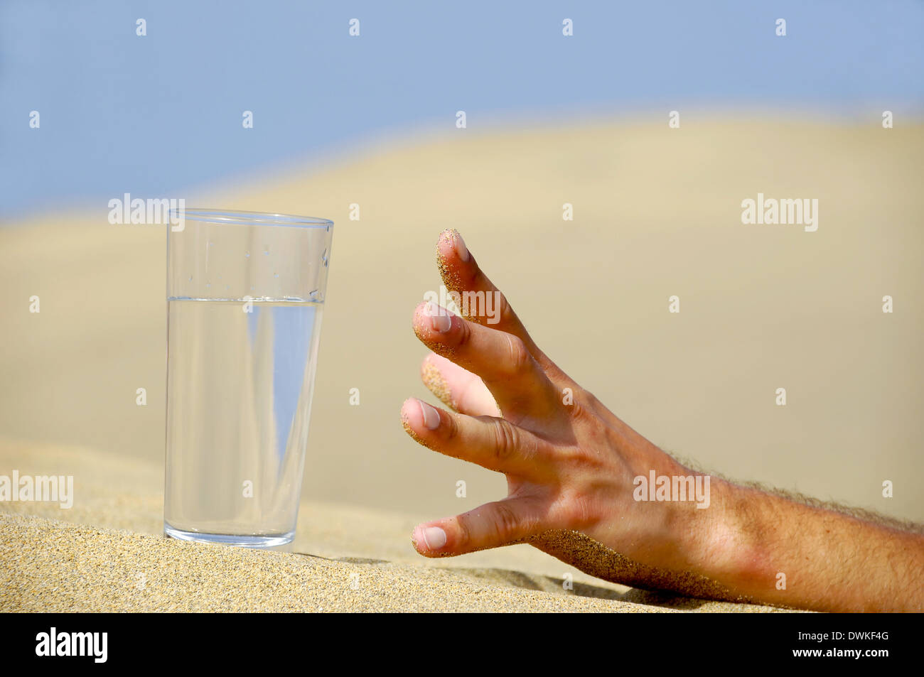 Mano è il raggiungimento di un fresco bicchiere di acqua fredda nel deserto. Foto Stock