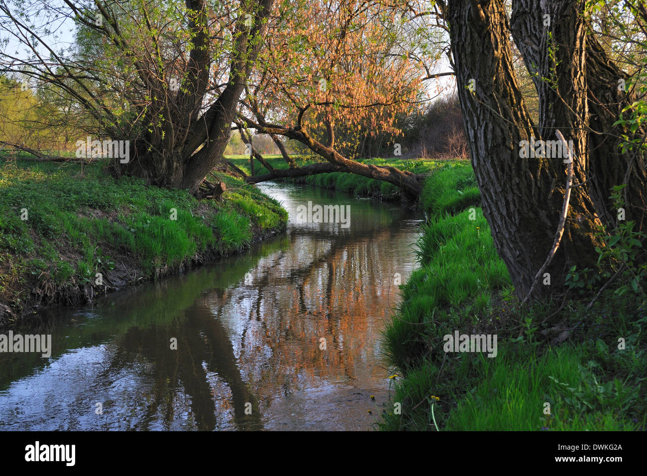 Paesaggio con fiume e alberi Foto Stock