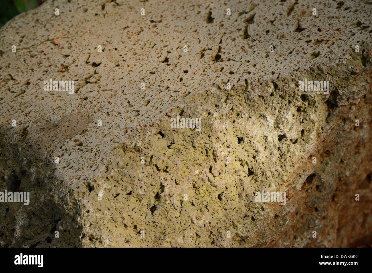 Close-up di basalto vescicolare superficie in Jeju Foto Stock