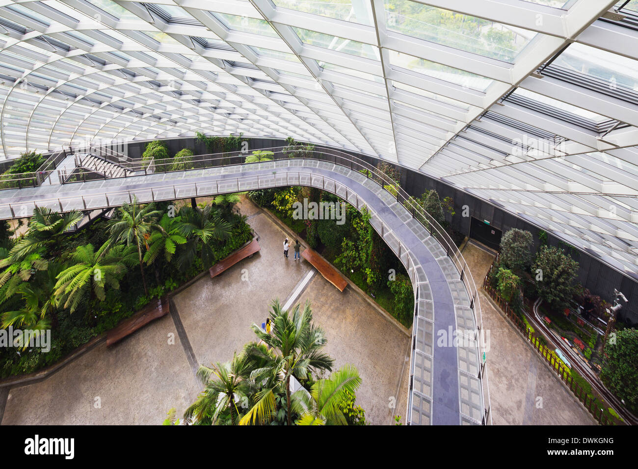 Il pontile, giardini dalla baia, Cloud Forest,giardino botanico, Singapore, Sud-est asiatico, in Asia Foto Stock