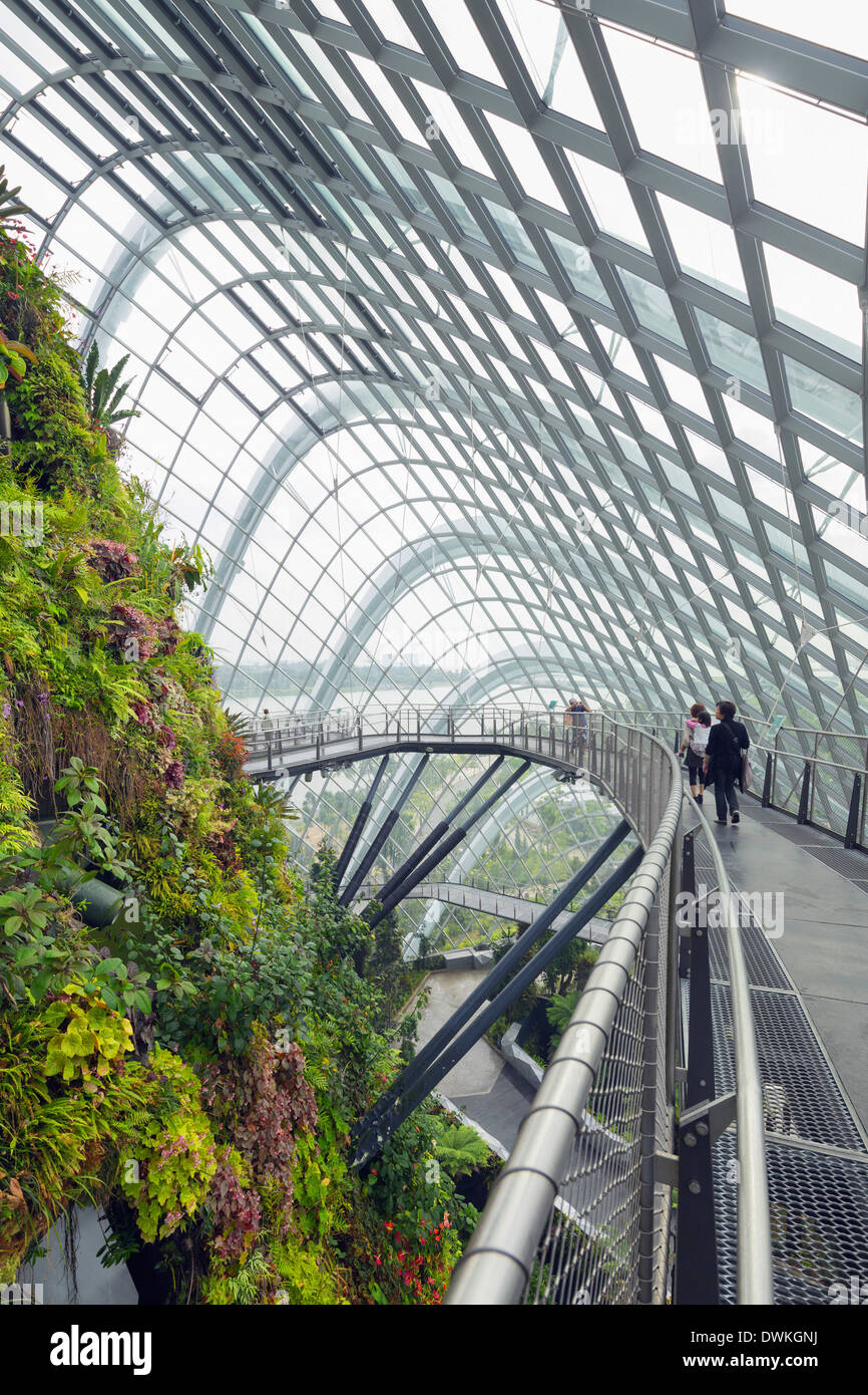 Il pontile, giardini dalla baia, Cloud Forest, giardino botanico, Singapore, Sud-est asiatico, in Asia Foto Stock