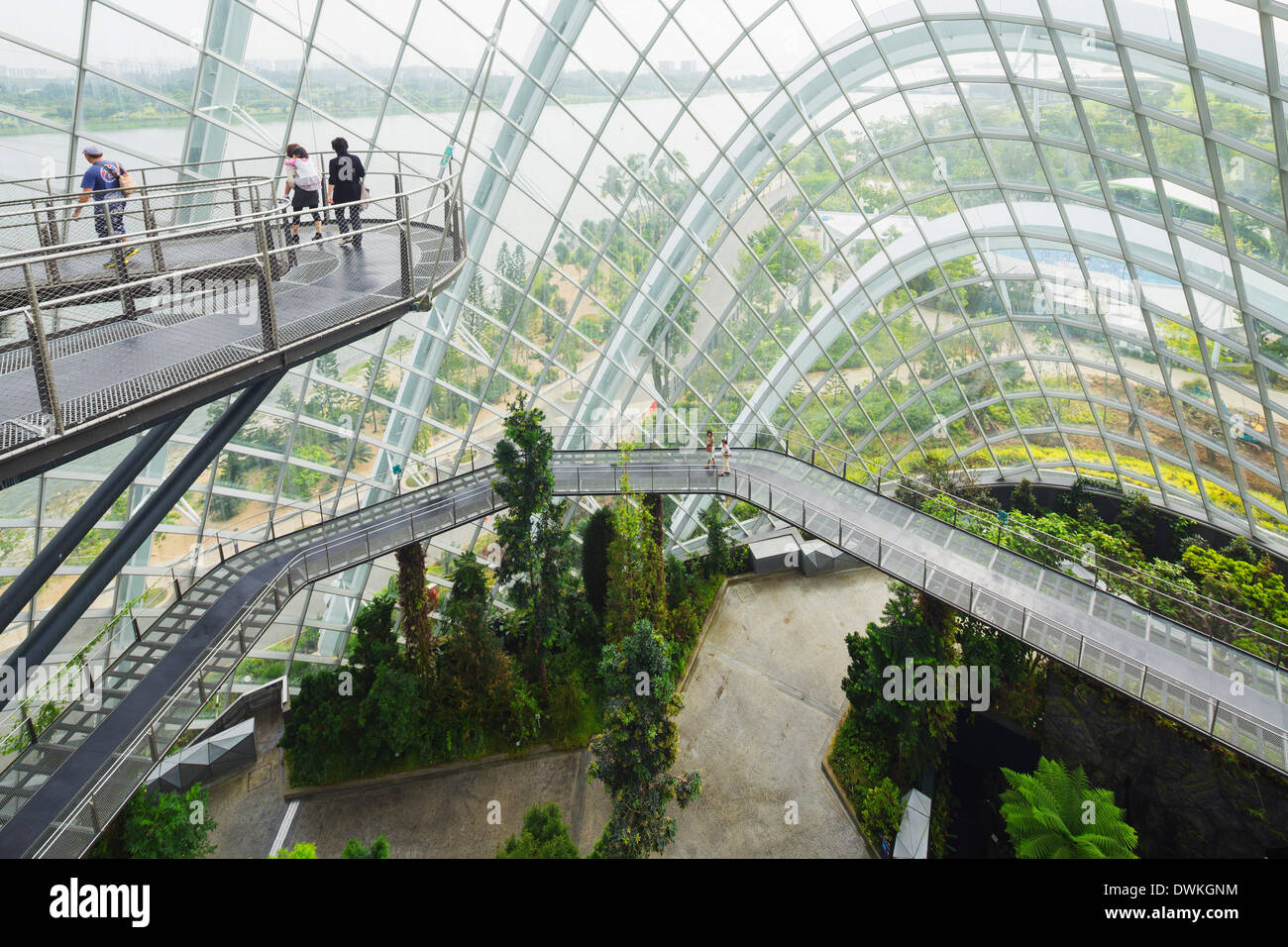 Il pontile, giardini dalla baia, Cloud Forest, giardino botanico, Singapore, Sud-est asiatico, in Asia Foto Stock